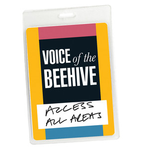 Access All Areas - Voice of the Beehive Live (Audio Version) cover
