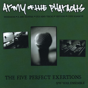 The Five Perfect Exertions (12") album