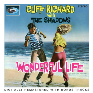 Wonderful Life album