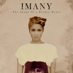 The Shape of a Broken Heart cover
