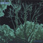 Nocturnal March cover