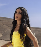 ABIR profile