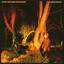 Crocodiles cover