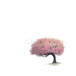 Strengths cover