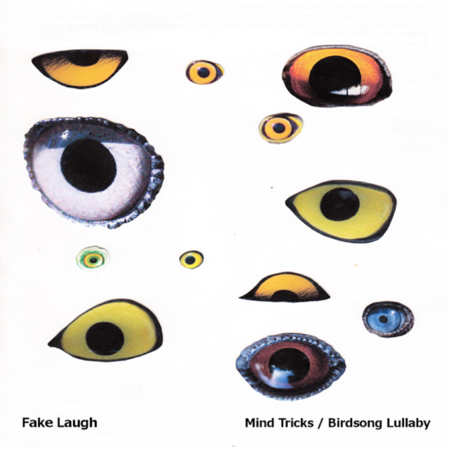Mind Tricks / Birdsong Lullaby cover