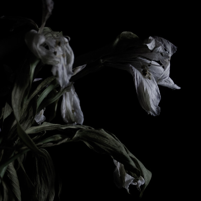 Cavernlight Photo