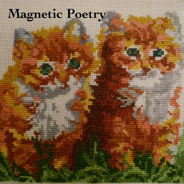 Magnetic Poetry Photo