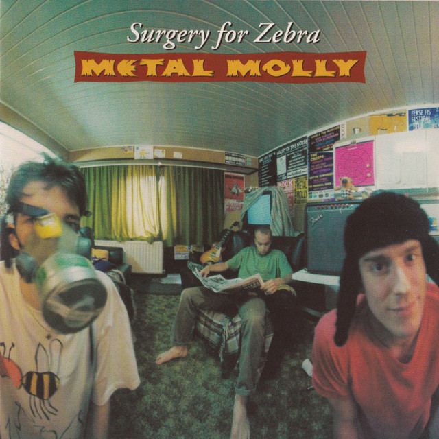 Surgery For Zebra cover