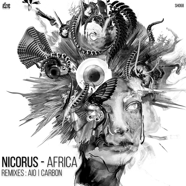 Nicorus Photo