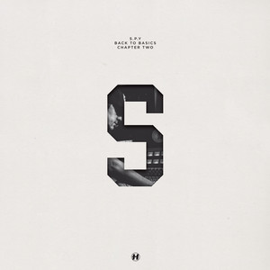 Back to Basics Chapter Two cover