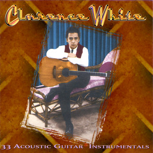 33 Guitar Instrumentals cover