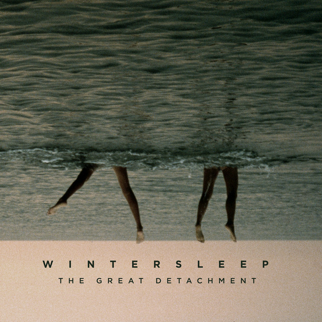 The Great Detachment cover