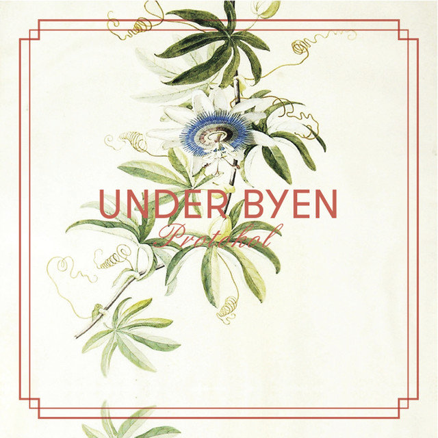 Protokol cover