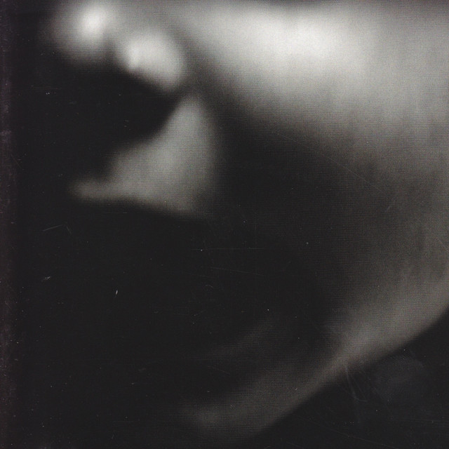 Gestir Photo