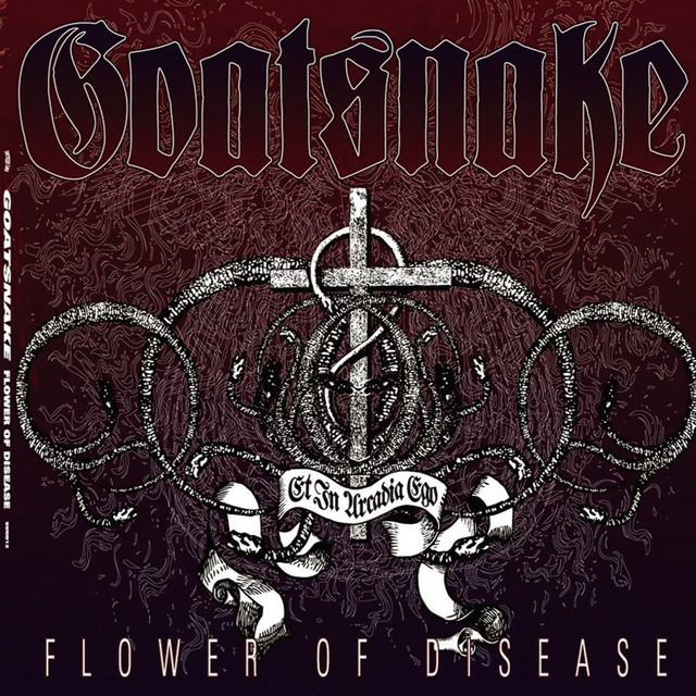 Flower Of Disease cover