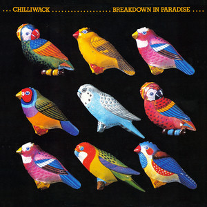 Breakdown In Paradise album