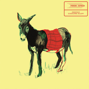 Poncho Express cover