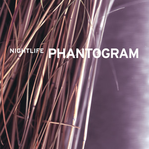 Nightlife cover