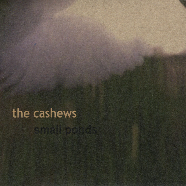 the cashews Photo