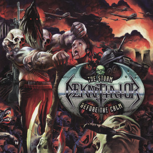 The Storm Before the Calm cover