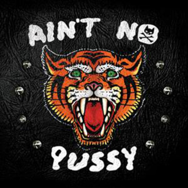 Pussycat and The Dirty Johnsons photo