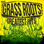 The Best of the Grass Roots cover