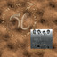 50 Años Sony Music México cover