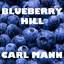 Blueberry Hill cover