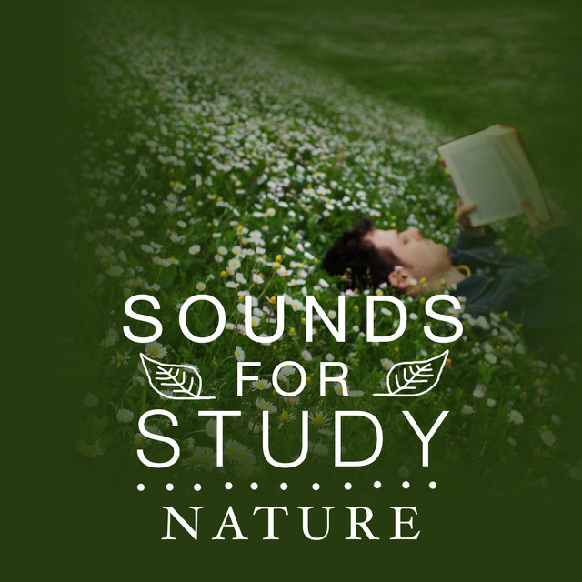 Sounds for Study: Nature Albumcover