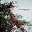 What Is Love? (Non-PA) cover