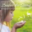 Zauber der Sterne - Entspannungs-Musik für Kinder Albumcover