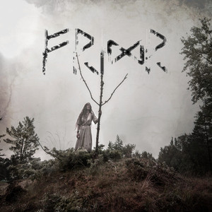 Fridr cover
