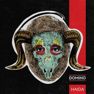 Haida (Fuga Lolelor, Episodul 1) cover