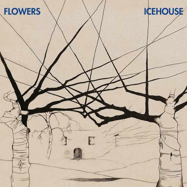 Icehouse cover
