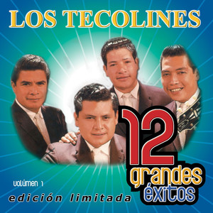 12 Grandes exitos Vol. 1 album