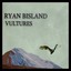 Vultures Albumcover