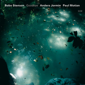 Goodbye cover