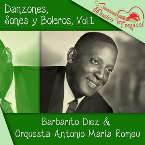 Danzones, Sones y Boleros, Vol. 1 album
