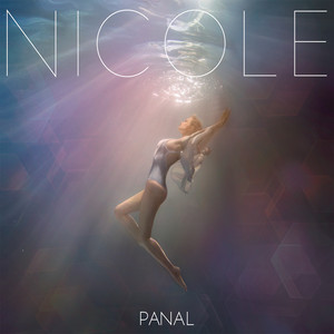 Panal cover