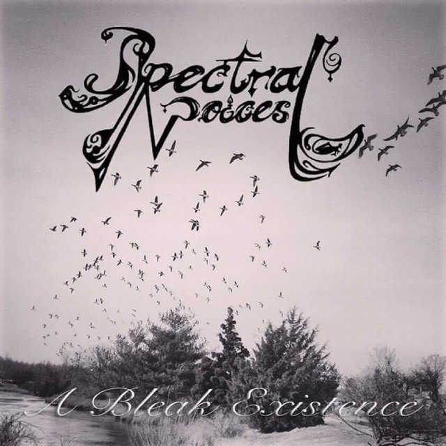 Spectral Voices Photo