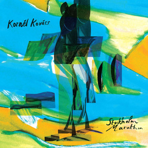 Stockholm Marathon cover