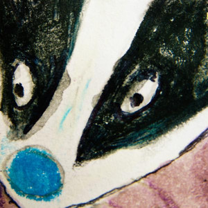 The Badger cover