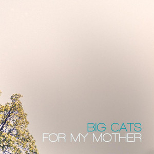 Big Cats! Photo