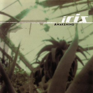 Awakening cover