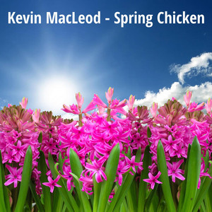 Spring Chicken cover