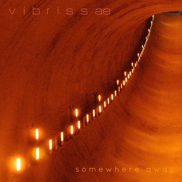 Vibrissae Photo