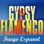 Gypsy Flamenco Albumcover