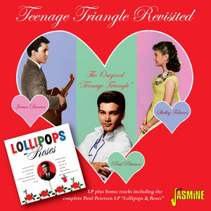 Teenage Triangle Revisited album