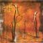 Fields of Salvation cover