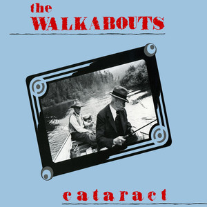 Cataract cover